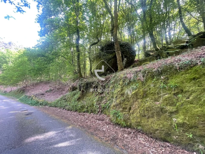 Terreno para Venda em Formariz e Ferreira Foto 11