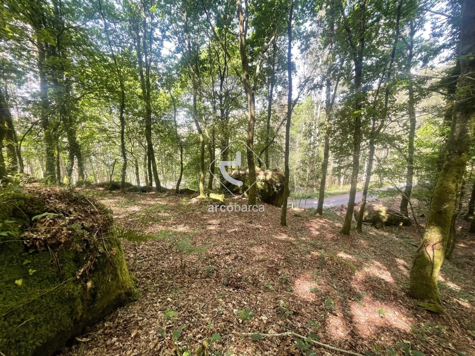 Terreno para Venda em Formariz e Ferreira Foto 1
