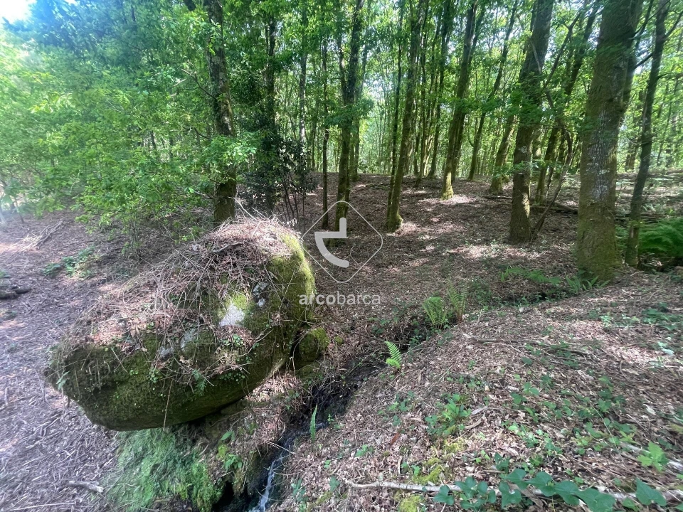 Terreno para Venda em Formariz e Ferreira Foto 7