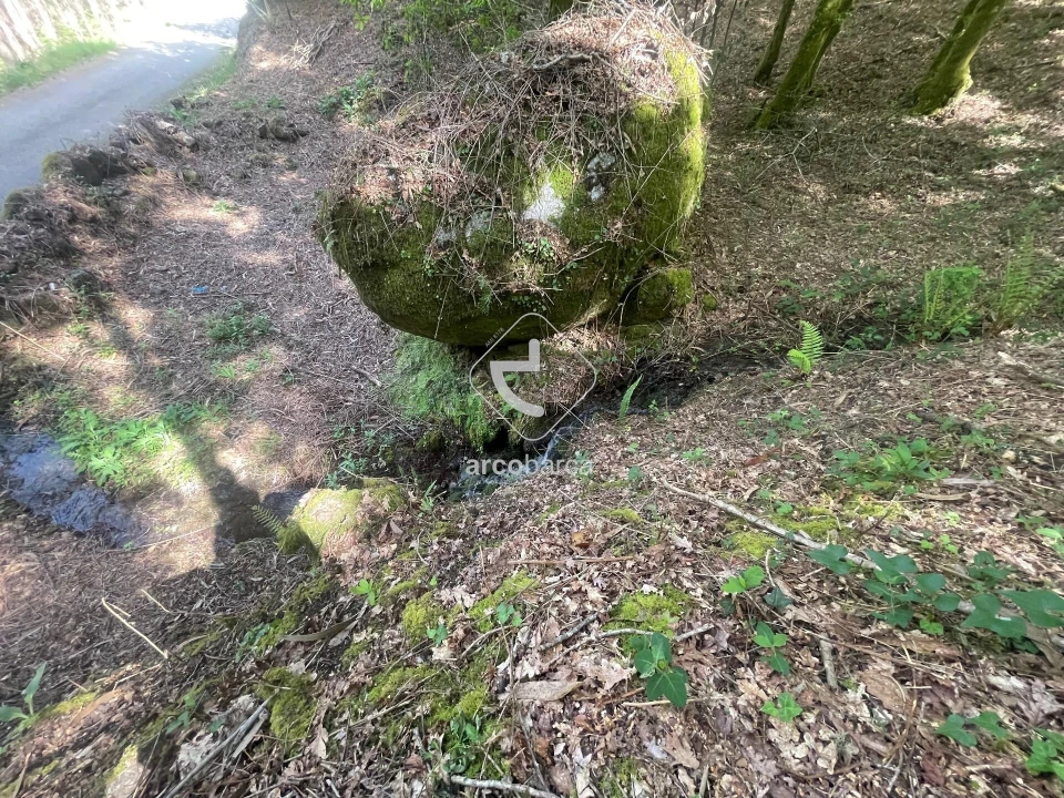 Terreno para Venda em Formariz e Ferreira Foto 6