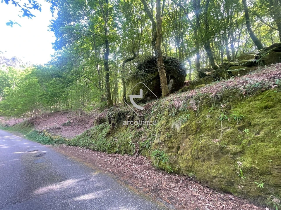 Terreno para Venda em Formariz e Ferreira Foto 11