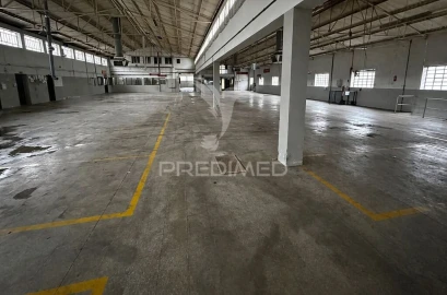 Armazém para Venda em Escapães