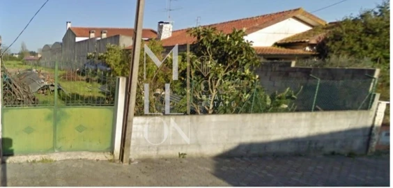 Terreno para Venda em Bustos, Troviscal e Mamarrosa