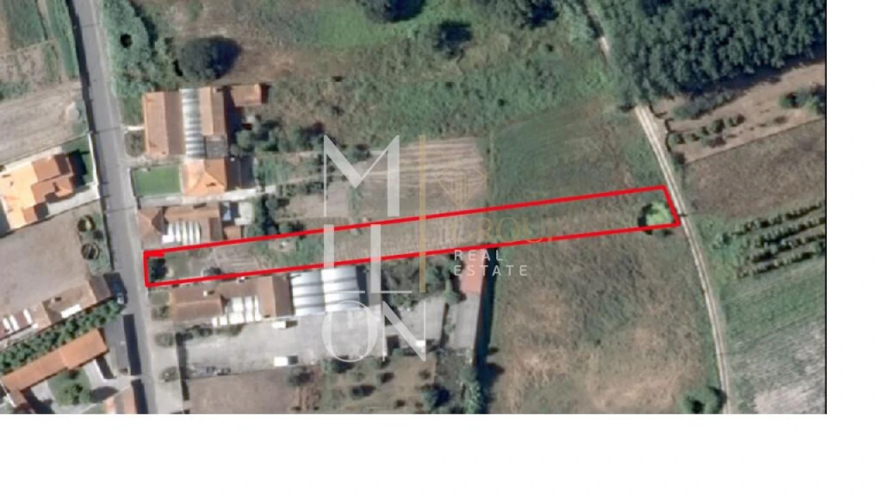 Terreno para Venda em Bustos, Troviscal e Mamarrosa Foto 1