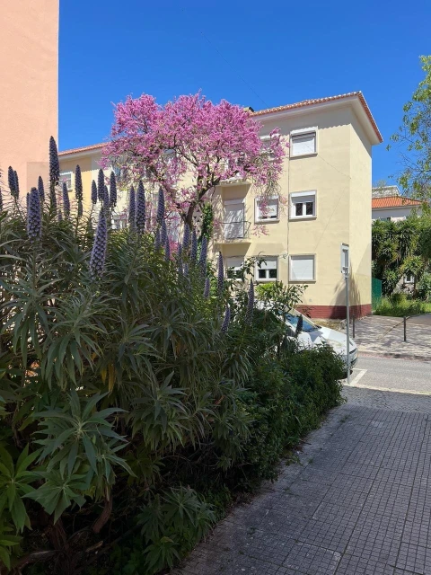 Apartamento T1 para Venda em Alvalade