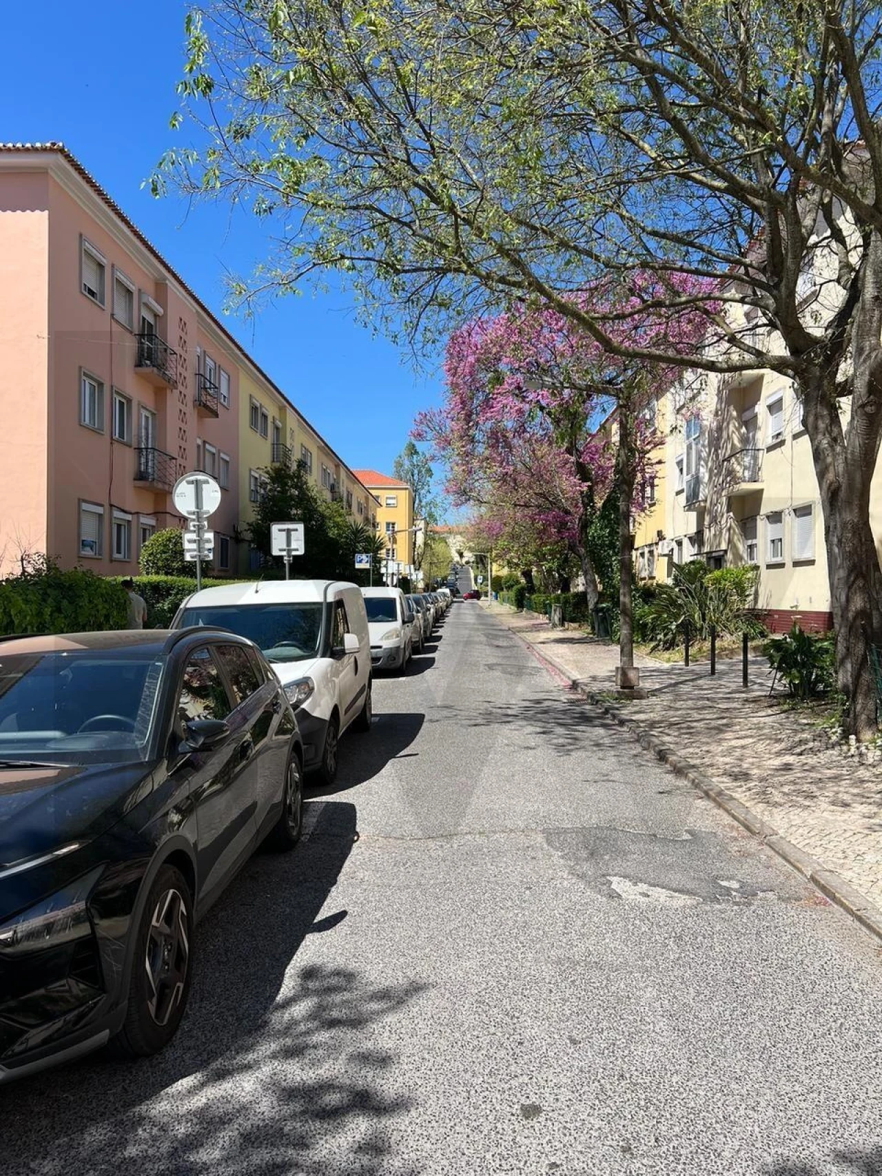 Apartamento T1 para Venda em Alvalade Foto 14