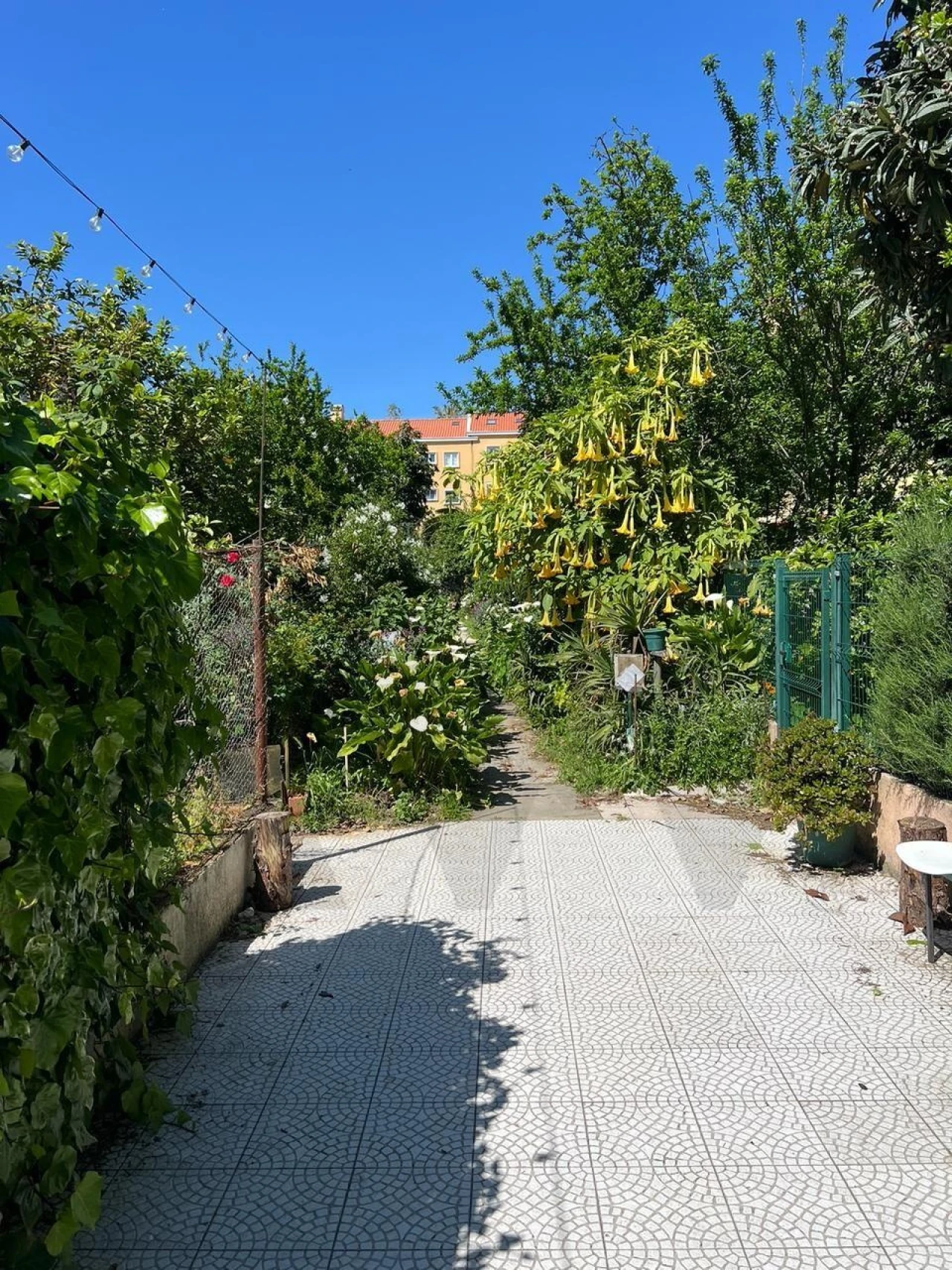 Apartamento T1 para Venda em Alvalade Foto 12