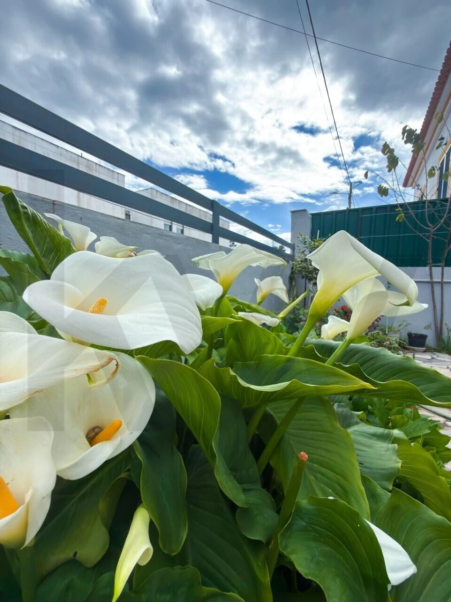 Moradia T2 para Venda em Quinta do Conde Foto 5