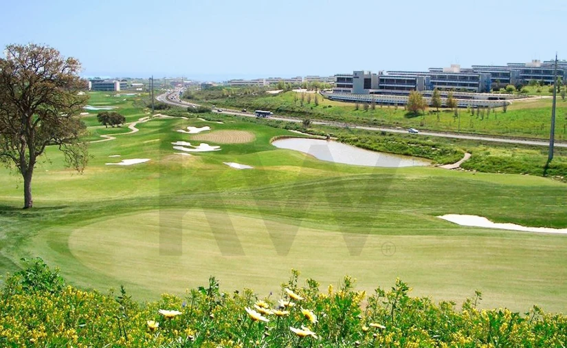 Terreno para Venda em Barcarena Foto 12