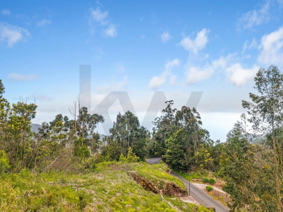 Terreno para Venda em Campanario Foto 6