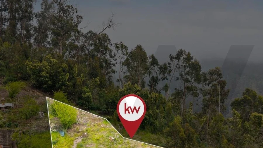 Terreno para Venda em Campanario
