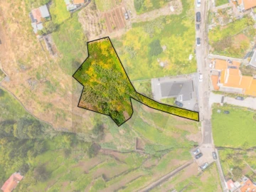 Terreno para Venda em Funchal (Santa Maria Maior)