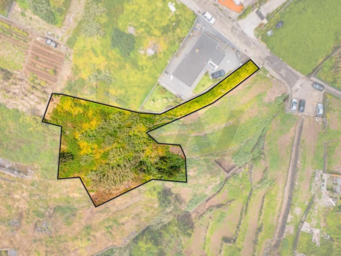 Terreno para Venda em Funchal (Santa Maria Maior) Foto 5