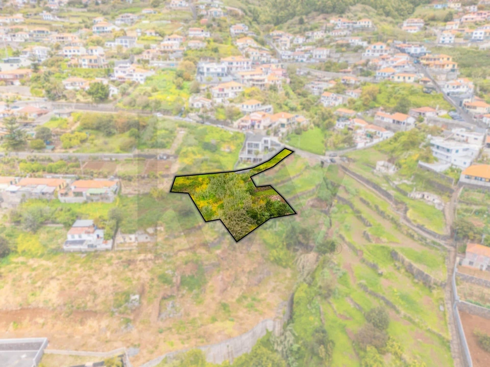 Terreno para Venda em Funchal (Santa Maria Maior) Foto 31