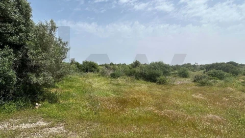 Terreno para Venda em Lagoa e Carvoeiro