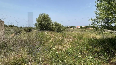 Terreno para Venda em Lagoa e Carvoeiro
