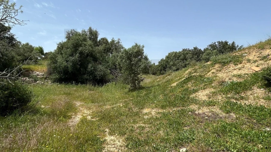 Terreno para Venda em Lagoa e Carvoeiro Foto 8