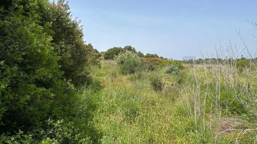 Terreno para Venda em Lagoa e Carvoeiro Foto 9