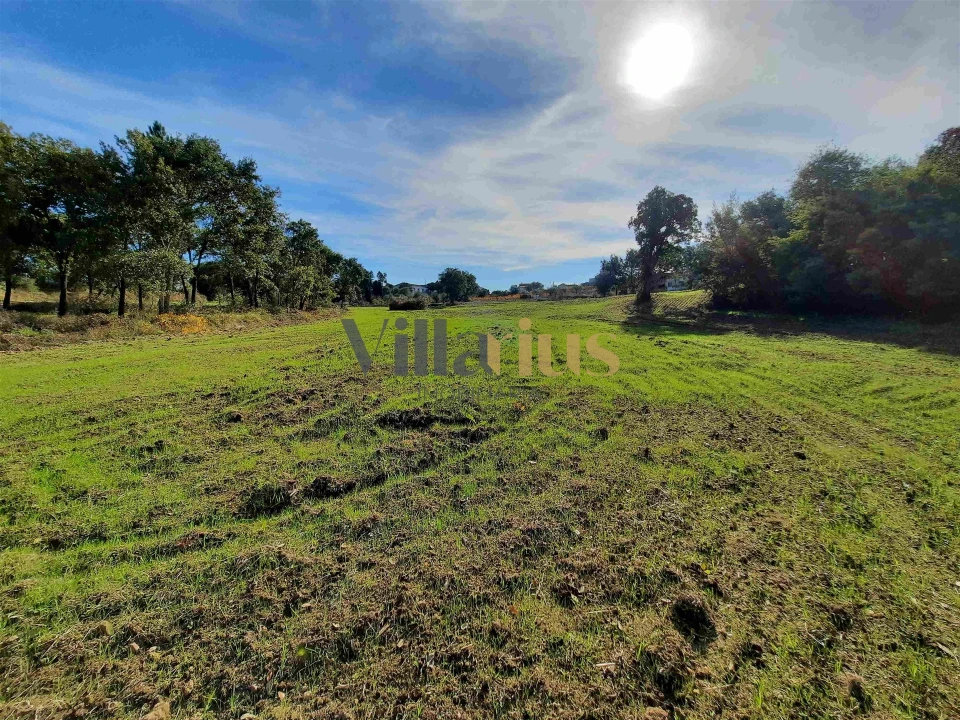 Moradia T3 para Venda em São Pedro de Tomar Foto 17