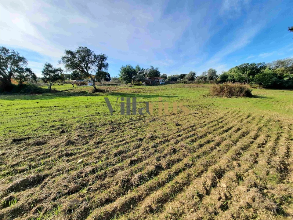 Moradia T3 para Venda em São Pedro de Tomar Foto 11