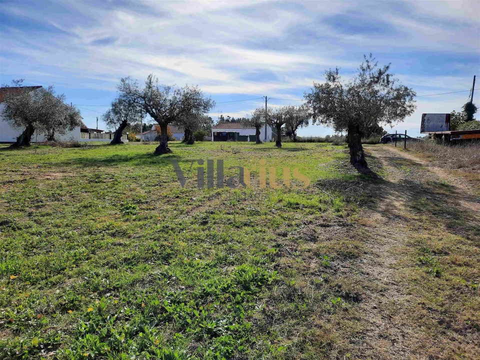 Moradia T3 para Venda em São Pedro de Tomar Foto 27