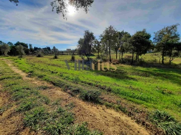 Moradia T3 para Venda em São Pedro de Tomar