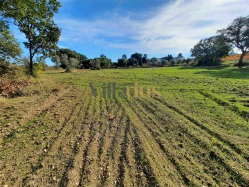 Moradia T3 para Venda em São Pedro de Tomar