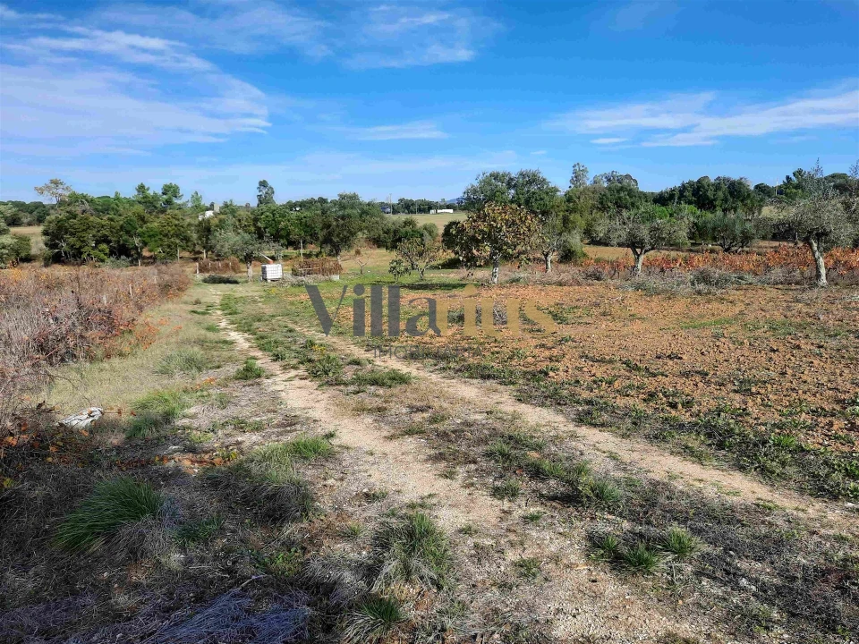 Moradia T3 para Venda em São Pedro de Tomar Foto 24