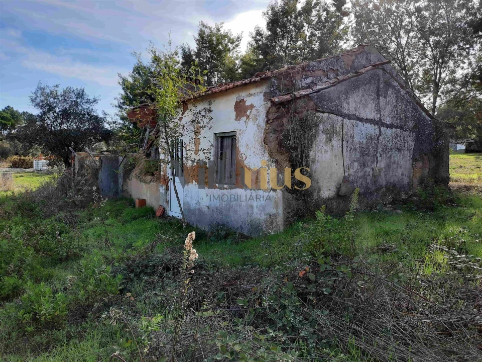 Moradia T3 para Venda em São Pedro de Tomar Foto 5