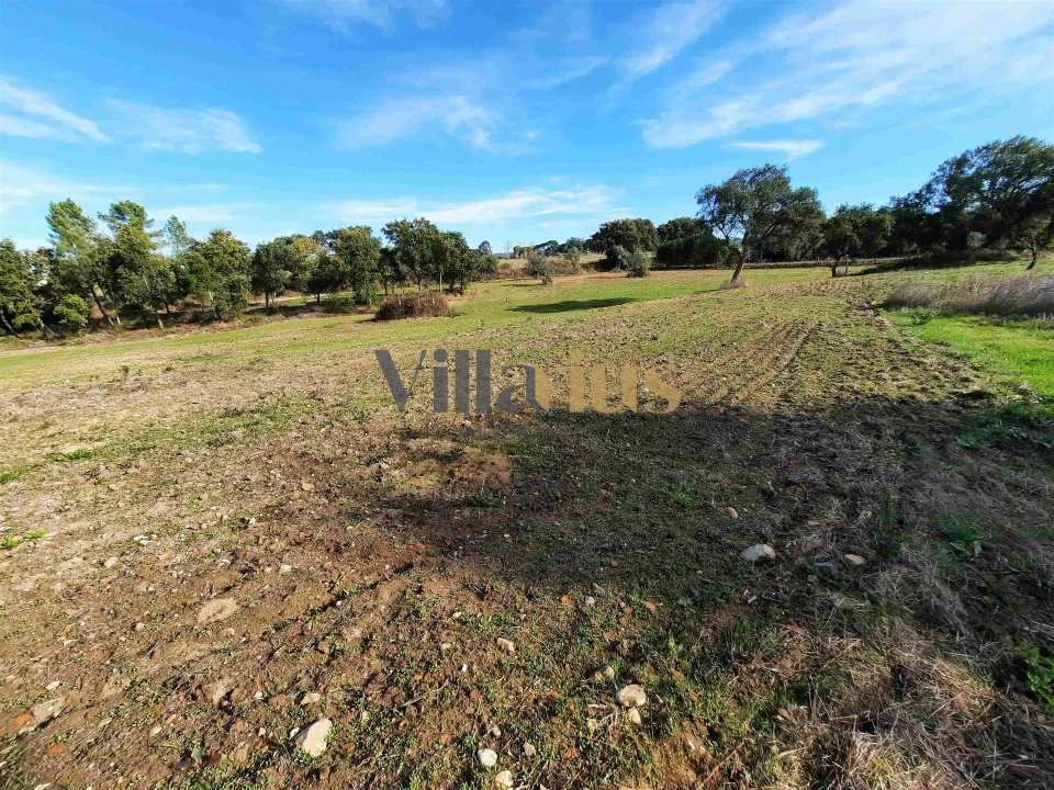 Moradia T3 para Venda em São Pedro de Tomar Foto 8