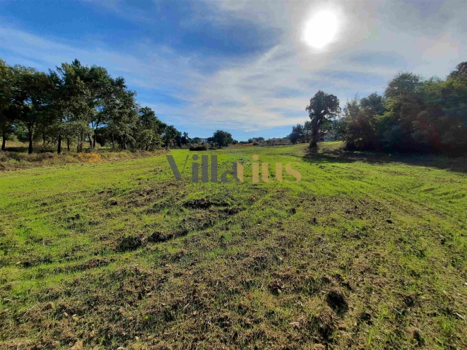 Moradia T3 para Venda em São Pedro de Tomar Foto 17