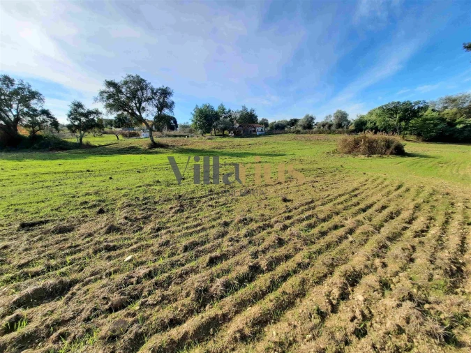 Moradia T3 para Venda em São Pedro de Tomar Foto 11