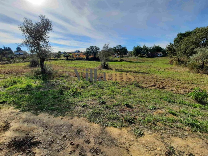 Moradia T3 para Venda em São Pedro de Tomar Foto 14