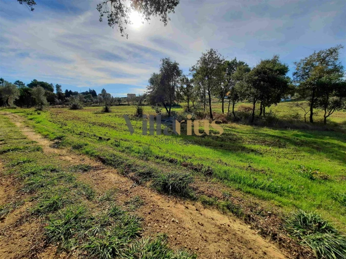 Moradia T3 para Venda em São Pedro de Tomar Foto 15