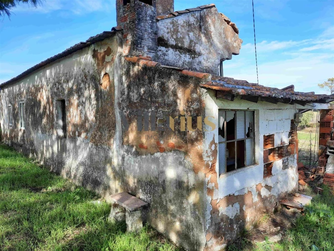Moradia T3 para Venda em São Pedro de Tomar Foto 6