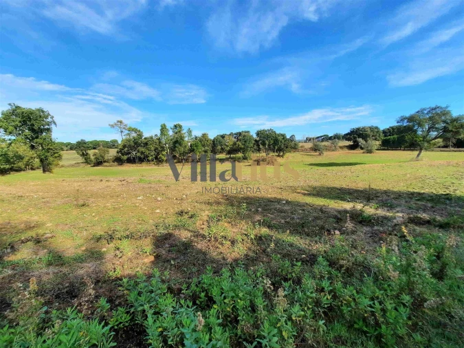 Moradia T3 para Venda em São Pedro de Tomar Foto 19