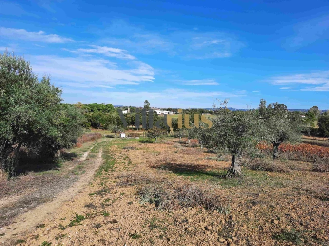 Moradia T3 para Venda em São Pedro de Tomar Foto 25