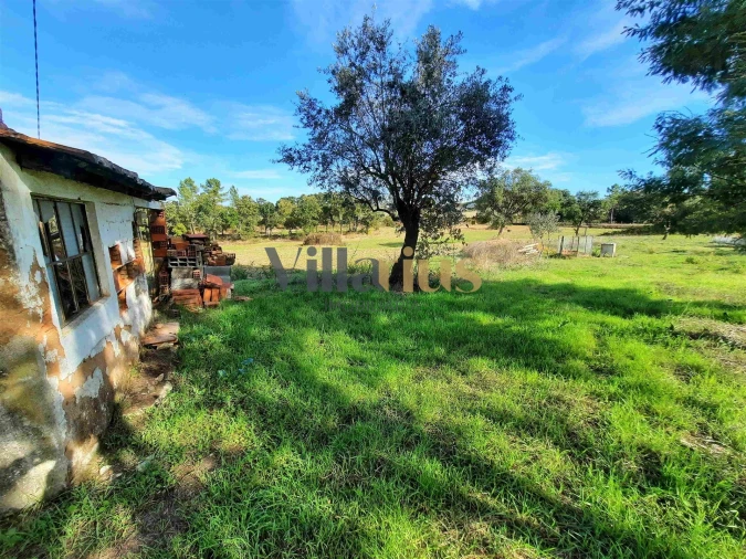 Moradia T3 para Venda em São Pedro de Tomar Foto 3