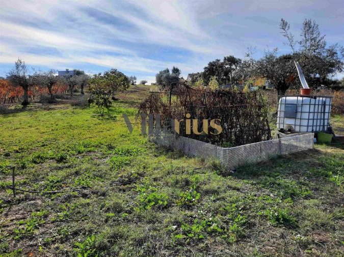 Moradia T3 para Venda em São Pedro de Tomar Foto 2