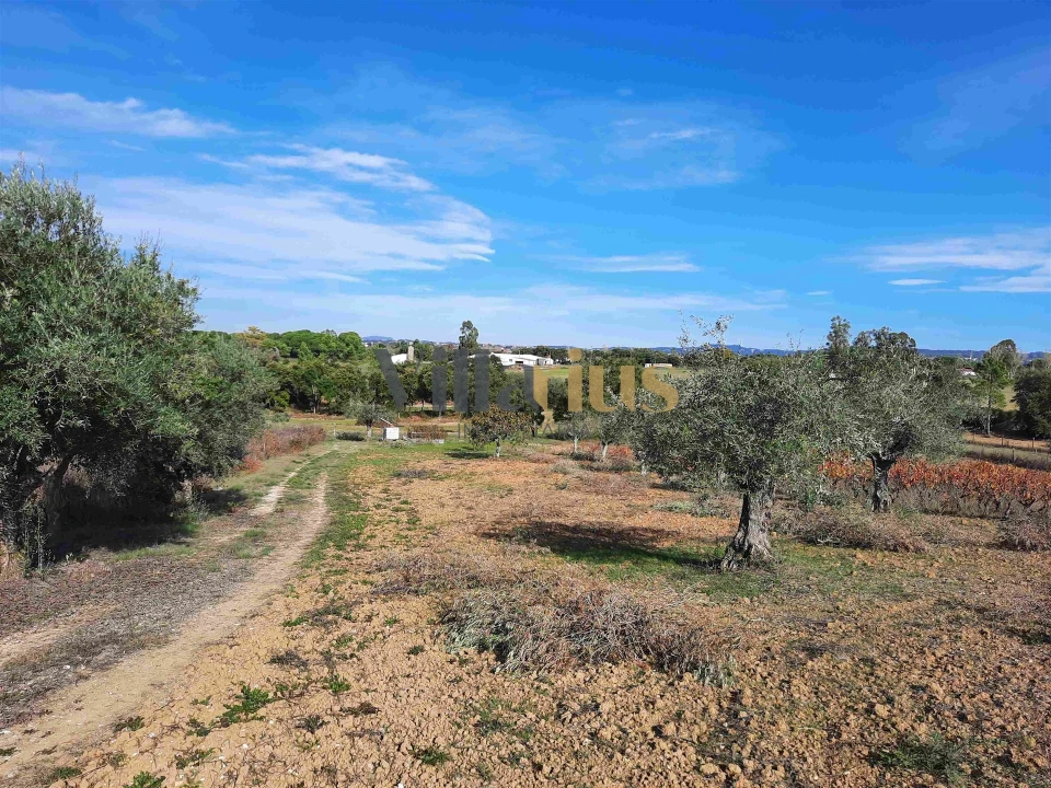 Moradia T3 para Venda em São Pedro de Tomar Foto 25