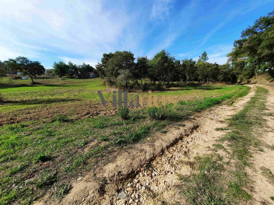 Moradia T3 para Venda em São Pedro de Tomar Foto 13