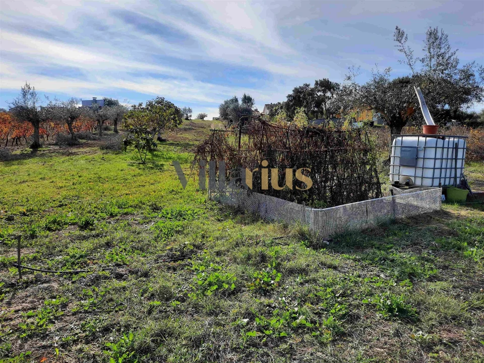 Moradia T3 para Venda em São Pedro de Tomar Foto 2