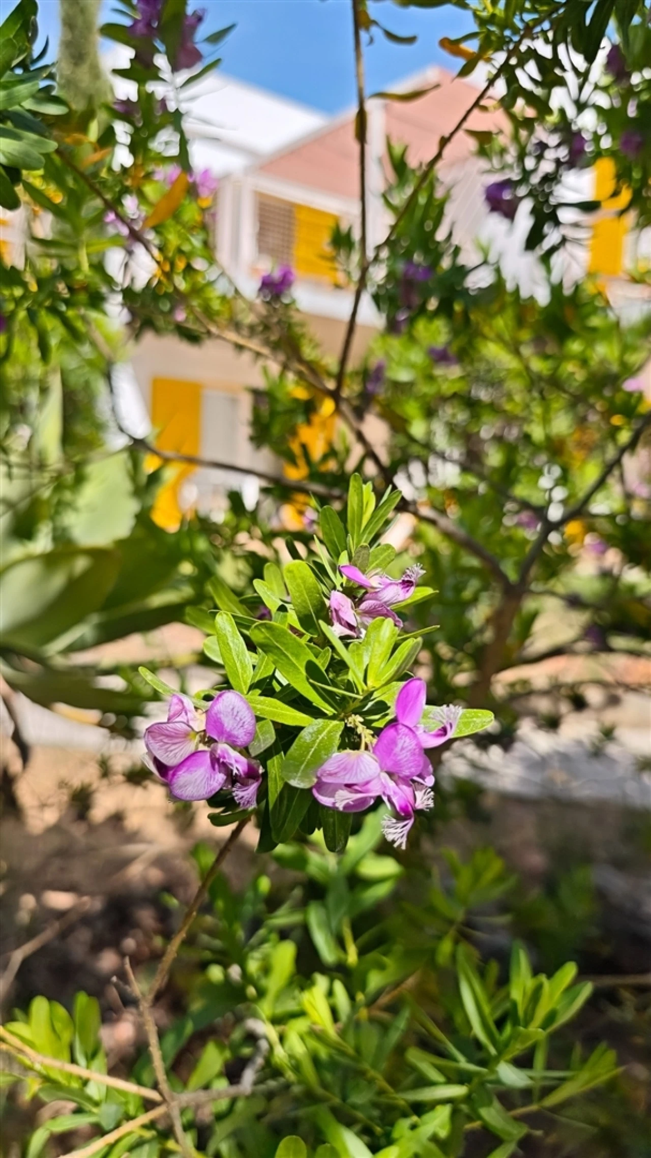 Apartamento T1 para Venda em Quarteira Foto 51