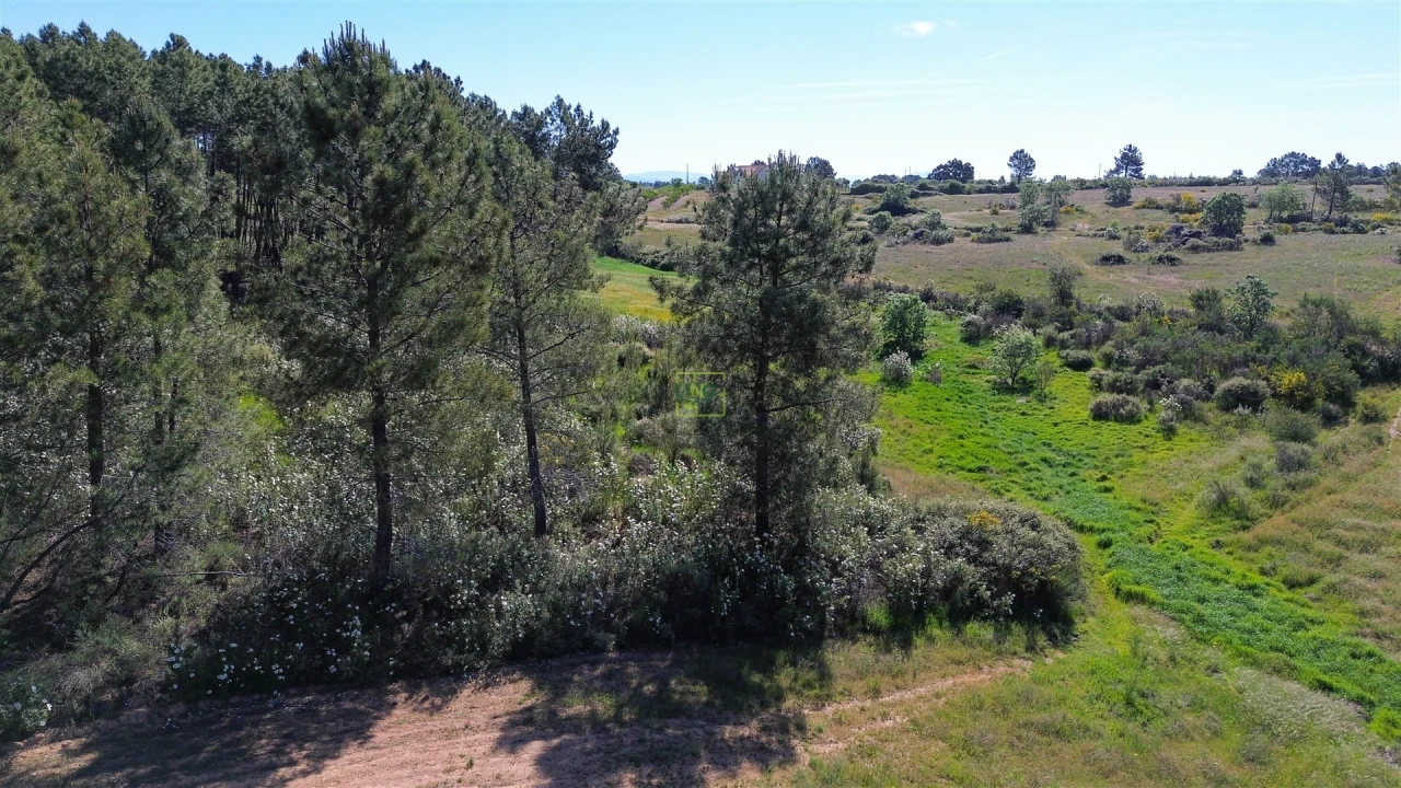 Terreno Agricola ou Rústico para Venda em Vale de Prazeres e Mata da Rainha Foto 21