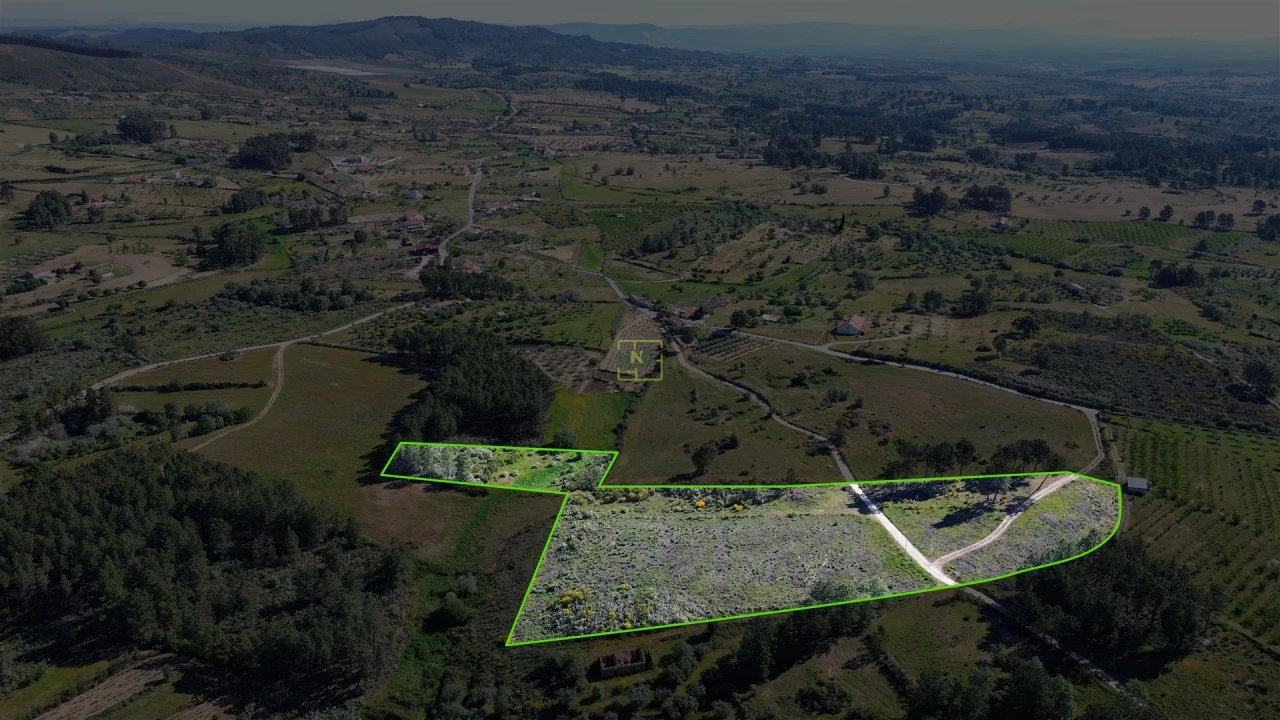 Terreno Agricola ou Rústico para Venda em Vale de Prazeres e Mata da Rainha Foto 11
