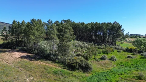 Terreno Agricola ou Rústico para Venda em Vale de Prazeres e Mata da Rainha