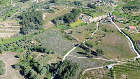 Terreno Agricola ou Rústico para Venda em Vale de Prazeres e Mata da Rainha