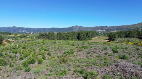 Terreno Agricola ou Rústico para Venda em Vale de Prazeres e Mata da Rainha