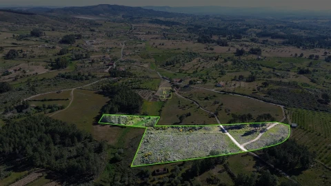 Terreno Agricola ou Rústico para Venda em Vale de Prazeres e Mata da Rainha