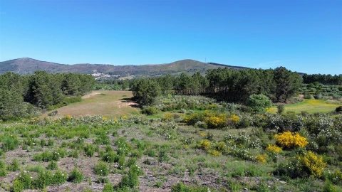 Terreno Agricola ou Rústico para Venda em Vale de Prazeres e Mata da Rainha